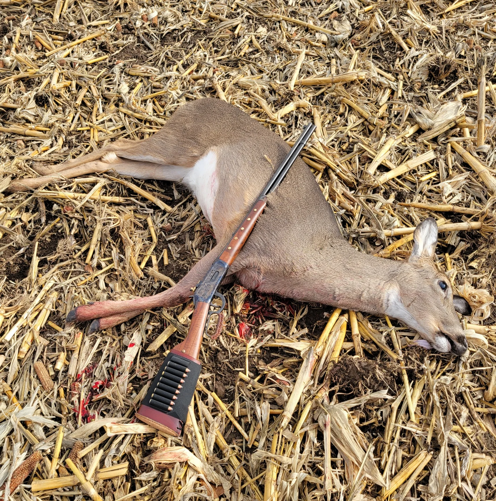 Doe 11-21-25 rifle.webp
