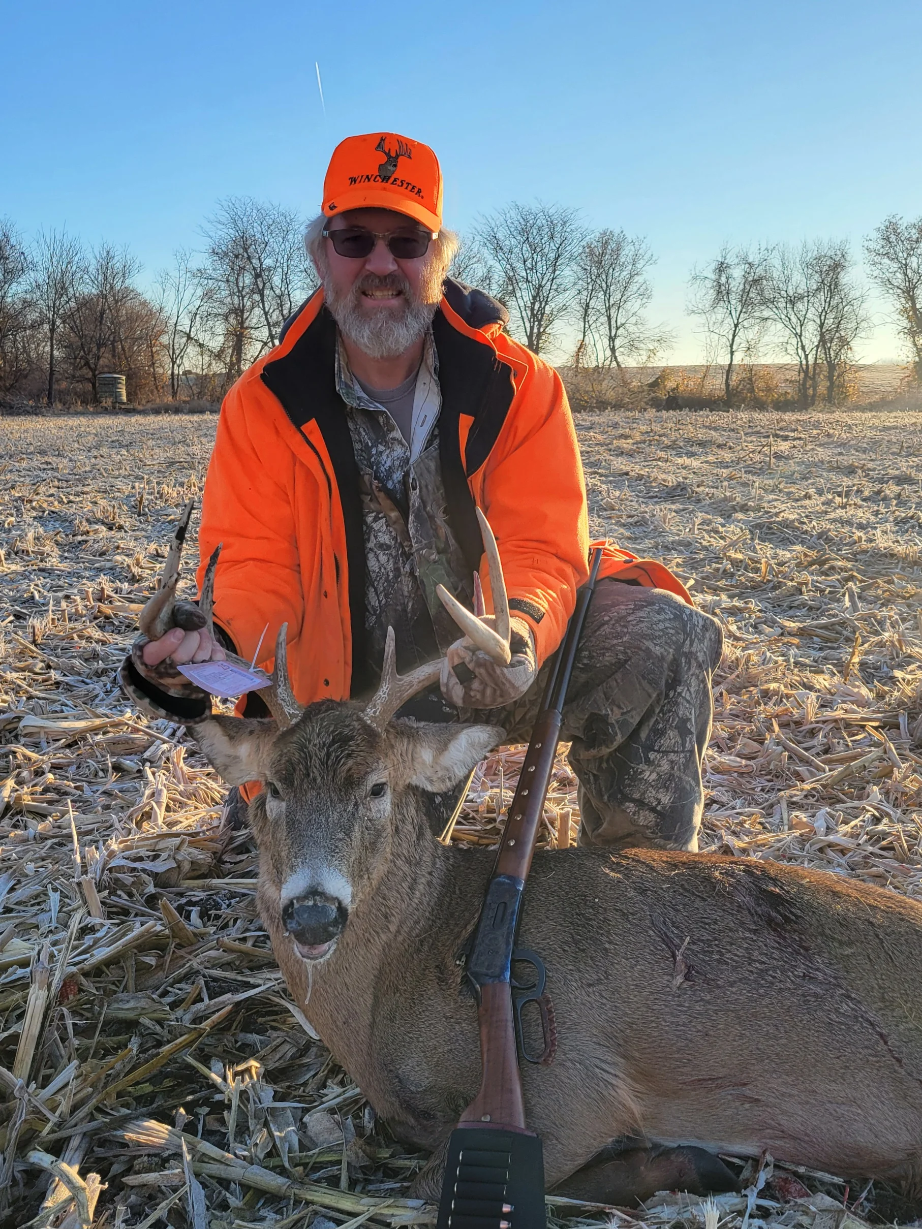 11-22-25 8 pointer.webp